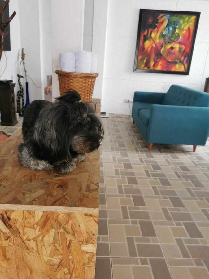 Hostel Brisas Del Nevado Ibagué Kültér fotó