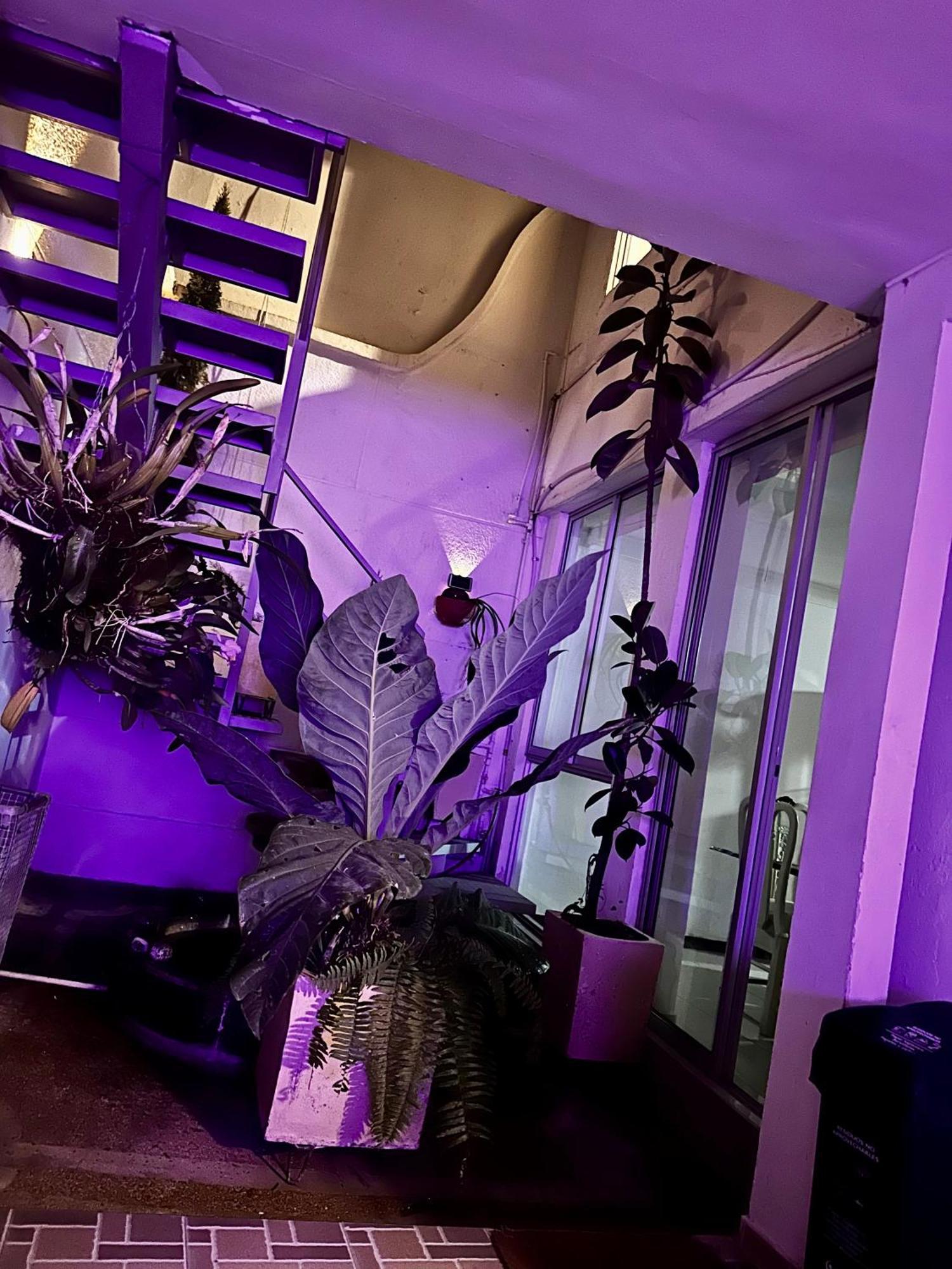Hostel Brisas Del Nevado Ibagué Kültér fotó